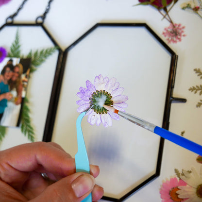 Framed Pressed Flowers Kit