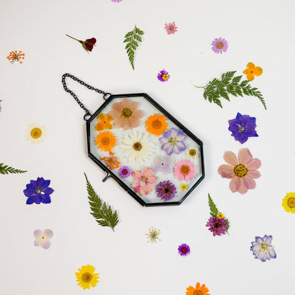 Framed Pressed Flowers Kit