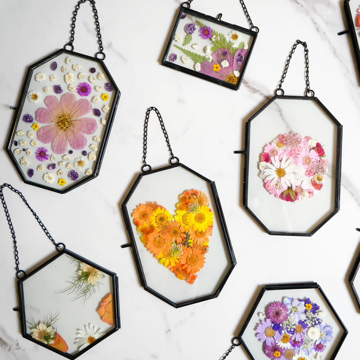 Framed Pressed Flowers Kit